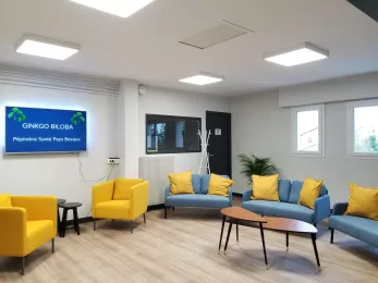 Pépinière de Santé du Pays Basque Ginkgo Biloba